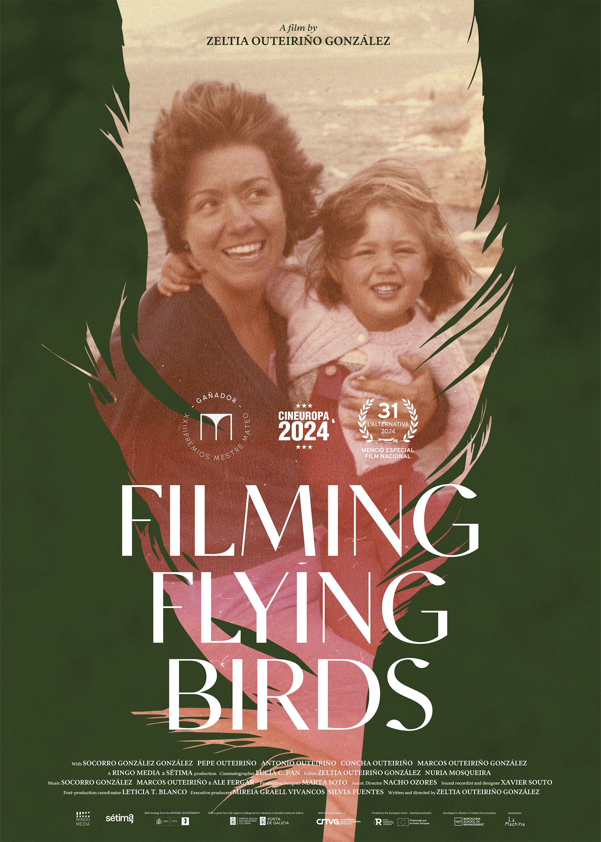 Filming Flying Birds